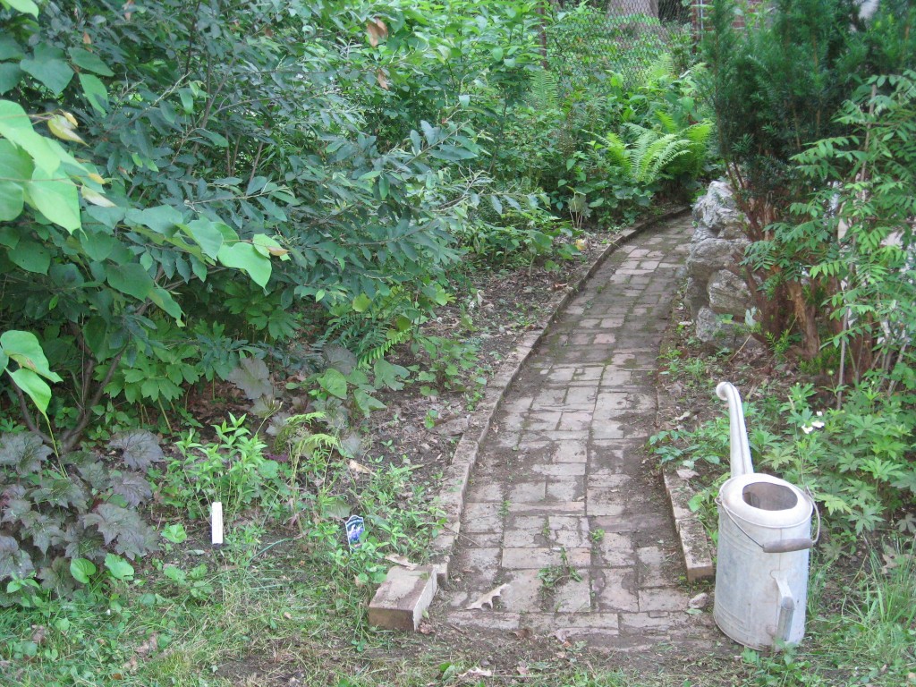 The native plant garden of the Sanguine Root, Morris Park Road, Overbrook, Philadelphia Pennsylvania