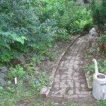 The native plant garden of the Sanguine Root, Morris Park Road, Overbrook, Philadelphia Pennsylvania