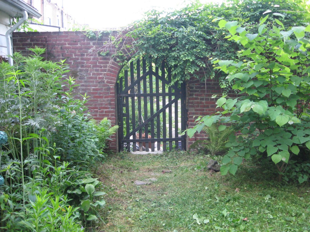 The native plant garden of the Sanguine Root, Morris Park Road, Overbrook, West Philadelphia, Pennsylvania