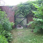 The native plant garden of the Sanguine Root, Morris Park Road, Overbrook, West Philadelphia, Pennsylvania