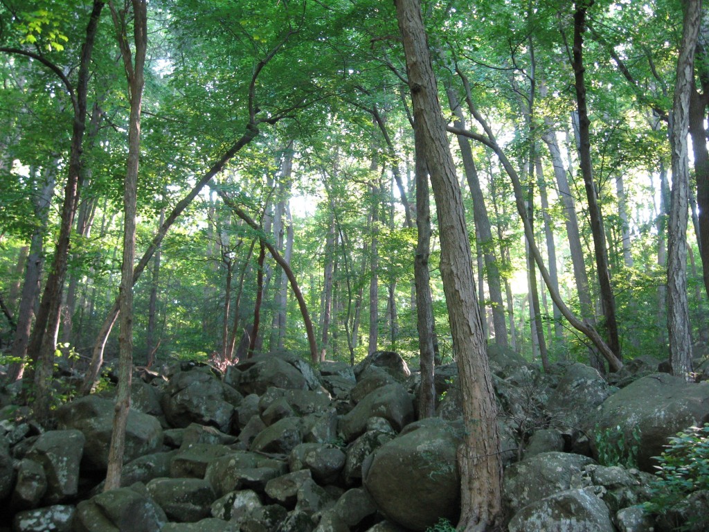 Ringing Rocks Park