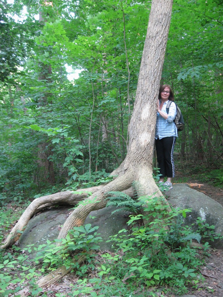 Ringing Rocks Park