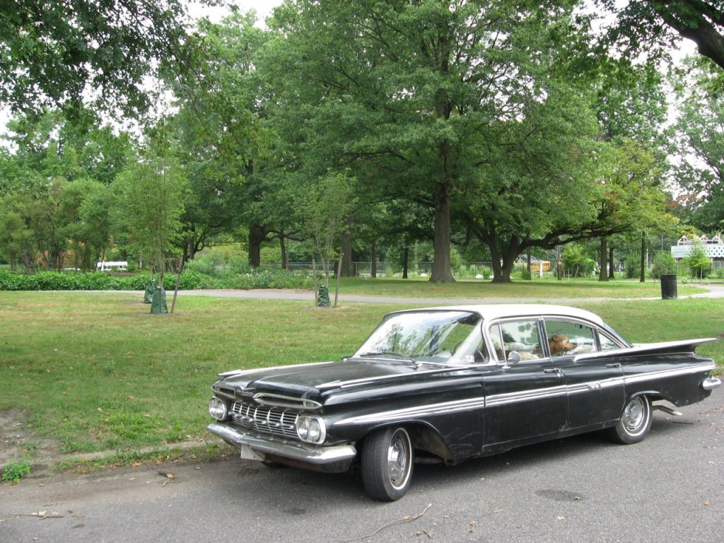 Our 1959 Chevrolet Impala, 283 cubic inch V8, 2 speed Ironglide, Can time travel, all original! Making a pit stop at the Concourse Lake, West Fairmount Park , Philadelphia
