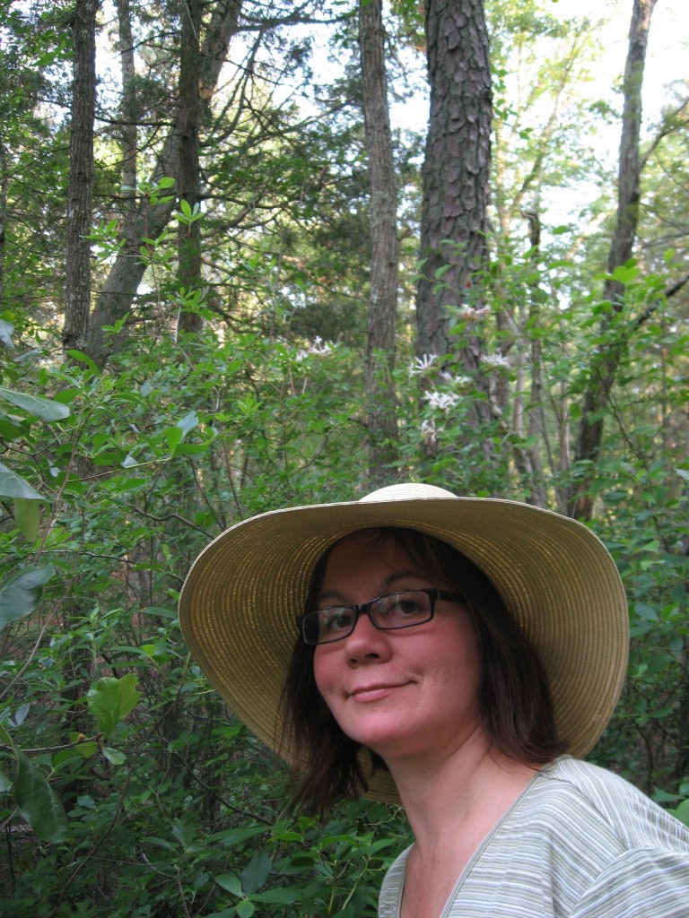 Mullica River, New Jersey Pine Barrens