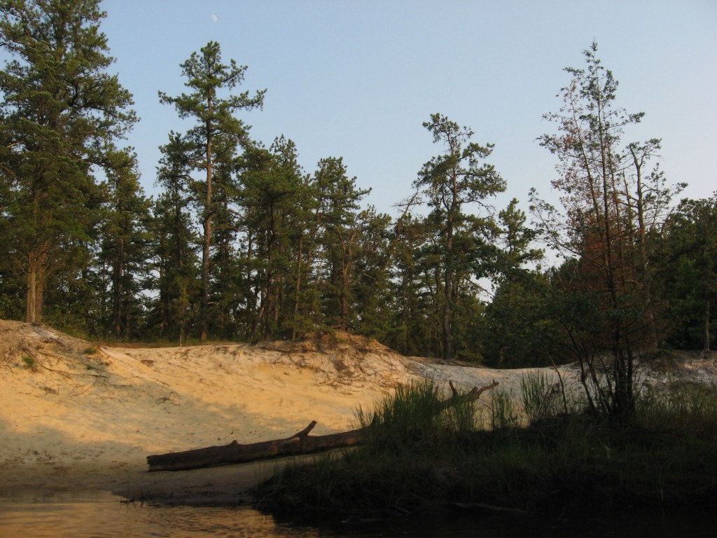 Mullica River, New Jersey Pine Barrens