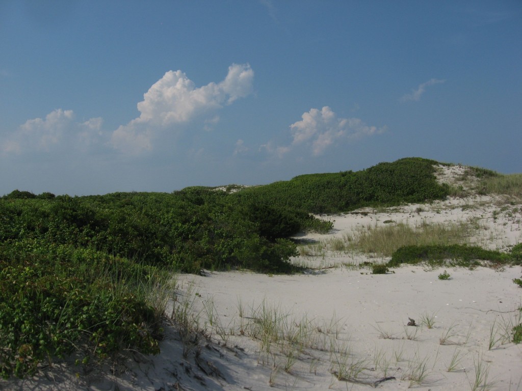 The Jersey shore, Island Beach, New Jersey