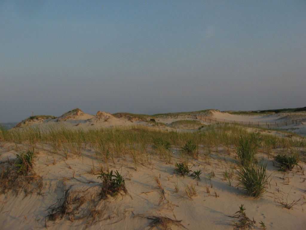 The Jersey shore, Island Beach, New Jersey