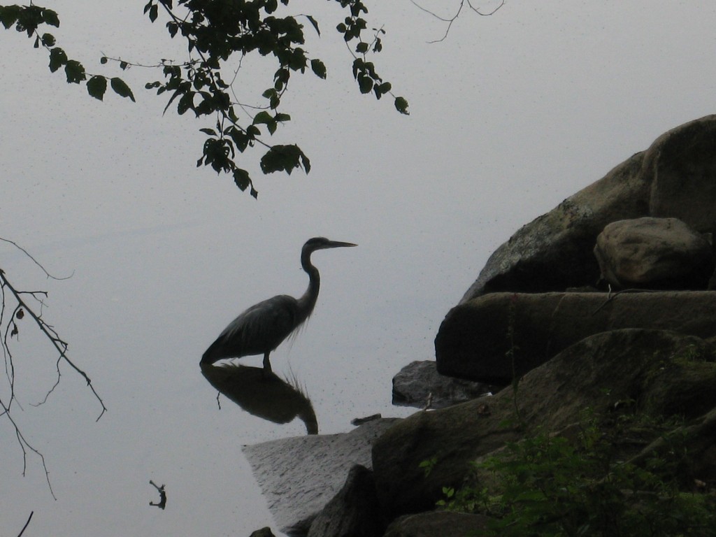 SUSQUEHANNA STATE PARK, MARYLAND