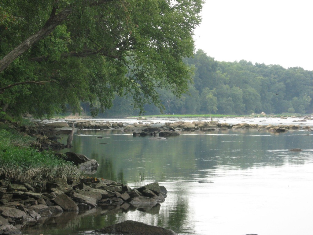 SUSQUEHANNA STATE PARK, MARYLAND