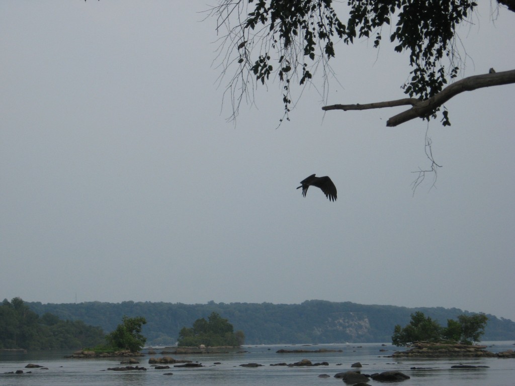 SUSQUEHANNA STATE PARK, MARYLAND