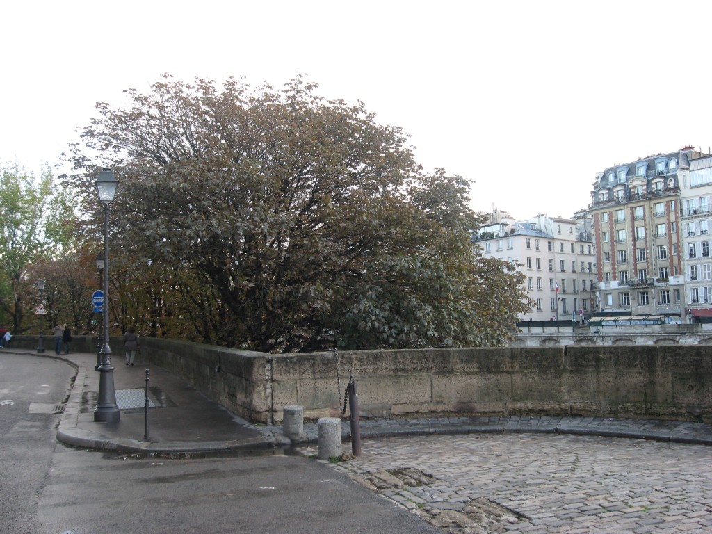 Horse Chestnut, Quartier Des Iles, Paris, France