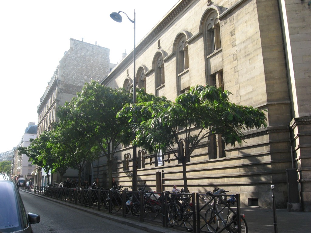 Mimosa Tree, Rue d'Armaille, Paris, France