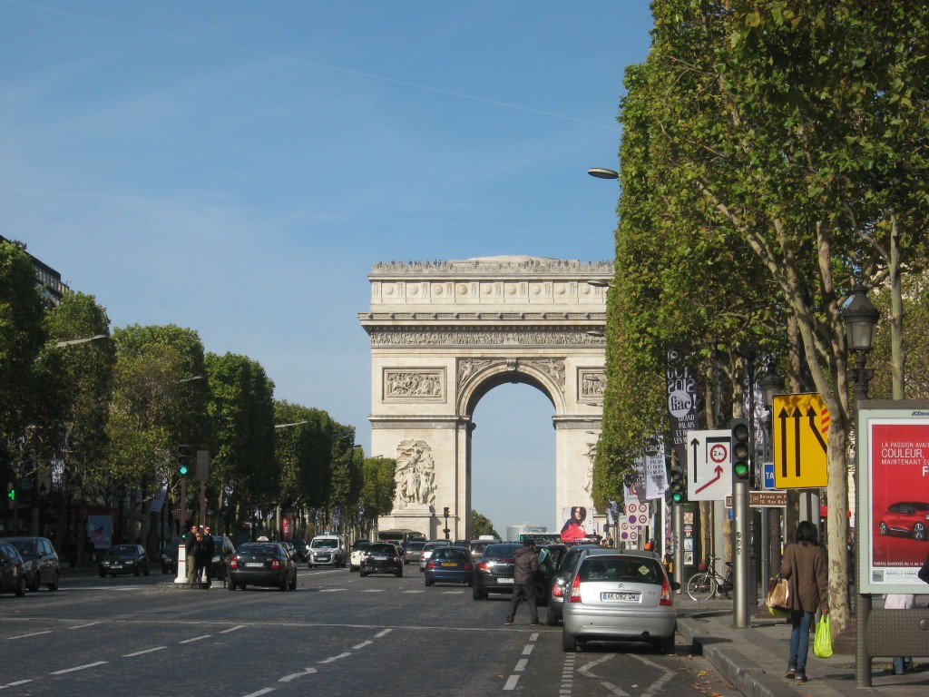 London Plane, Champs-Elysees, Paris, France