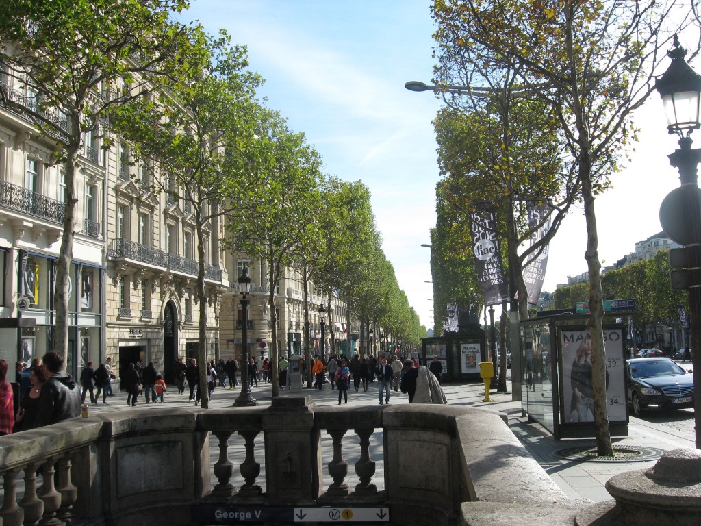 London Plane, Champs-Elysees, Paris, France