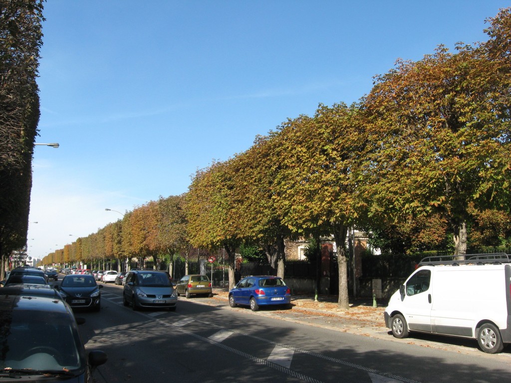 Horse Chestnut, Le Raincy, near Paris, France