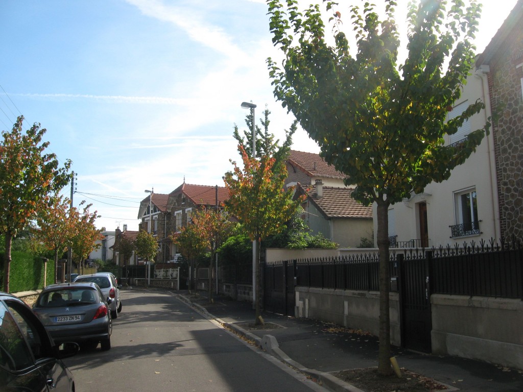 Cherry Trees, Le Raincy, near Paris, France