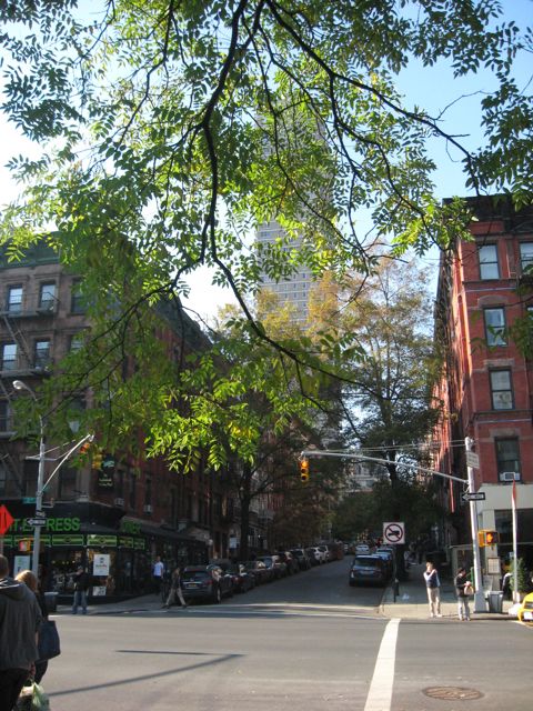 Upper East Side Street Trees, New York City