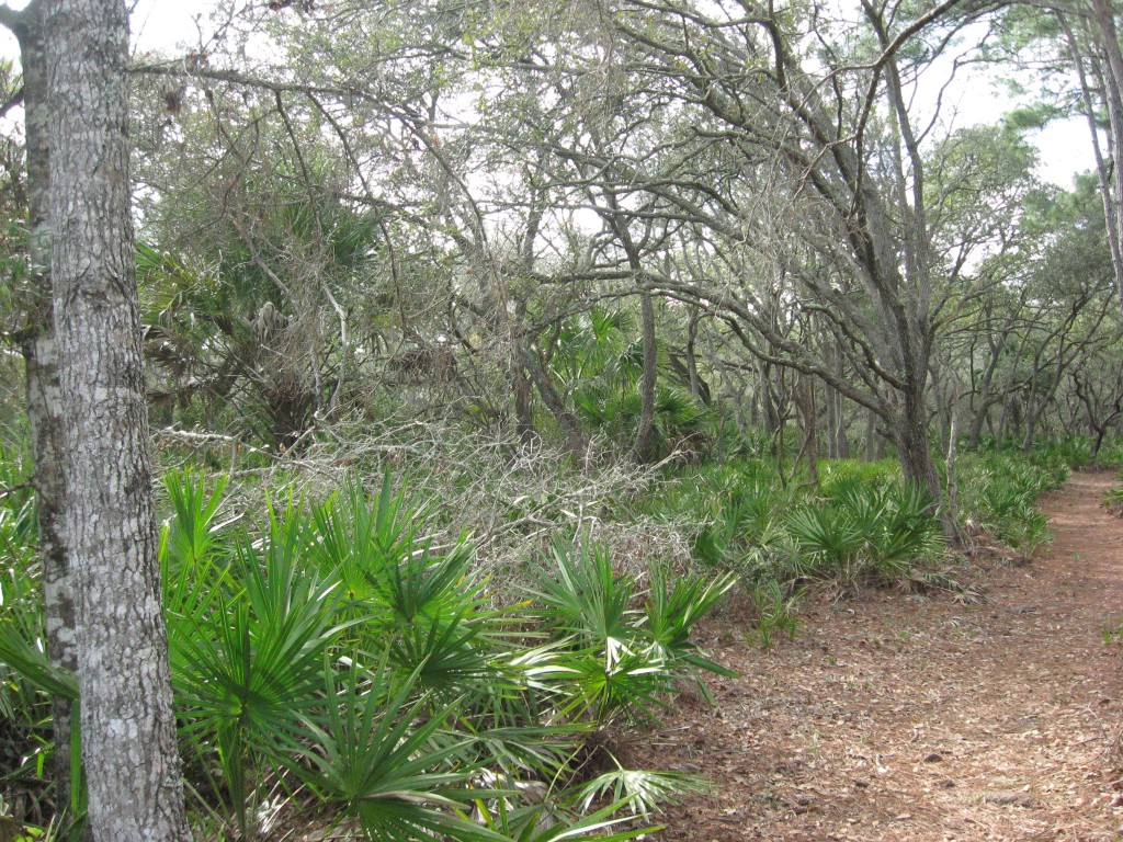 Lower Suwannee National Wildlife Refuge 