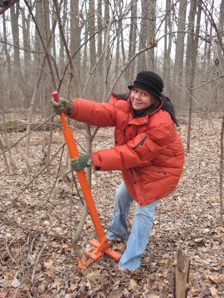 sabelle removes Burning Bush with weed wrench