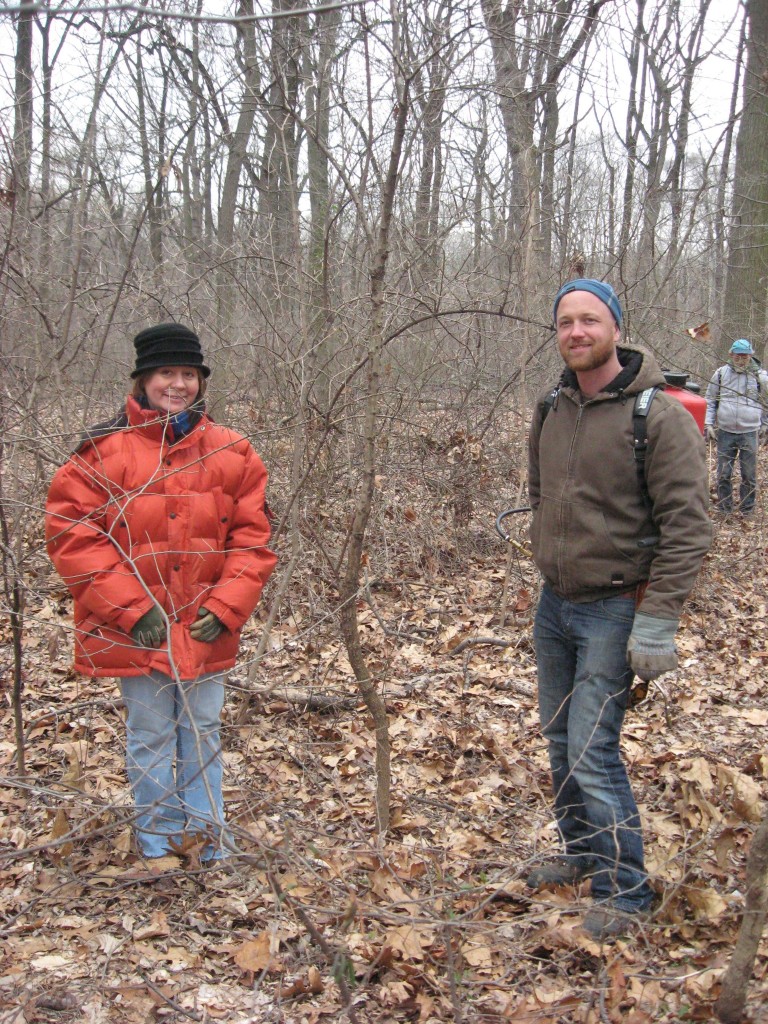 Our annual Japanese Angelica Tree removal workday