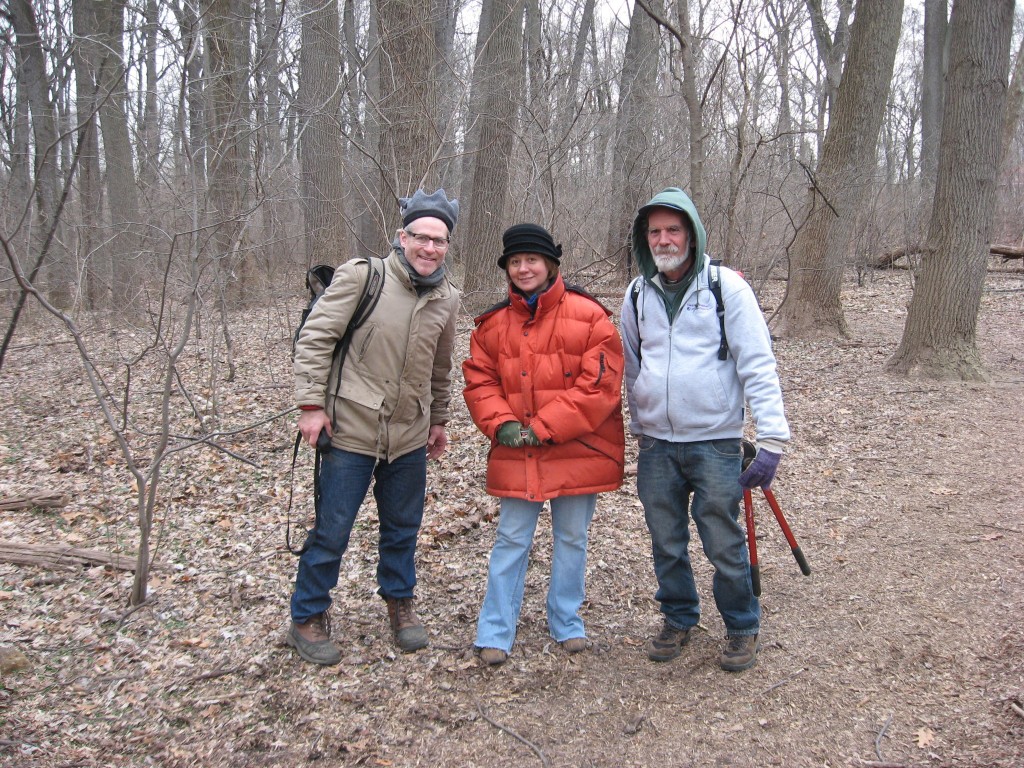 Our annual Japanese Angelica Tree removal workday