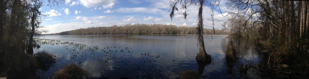 The Suwannee River, Florida