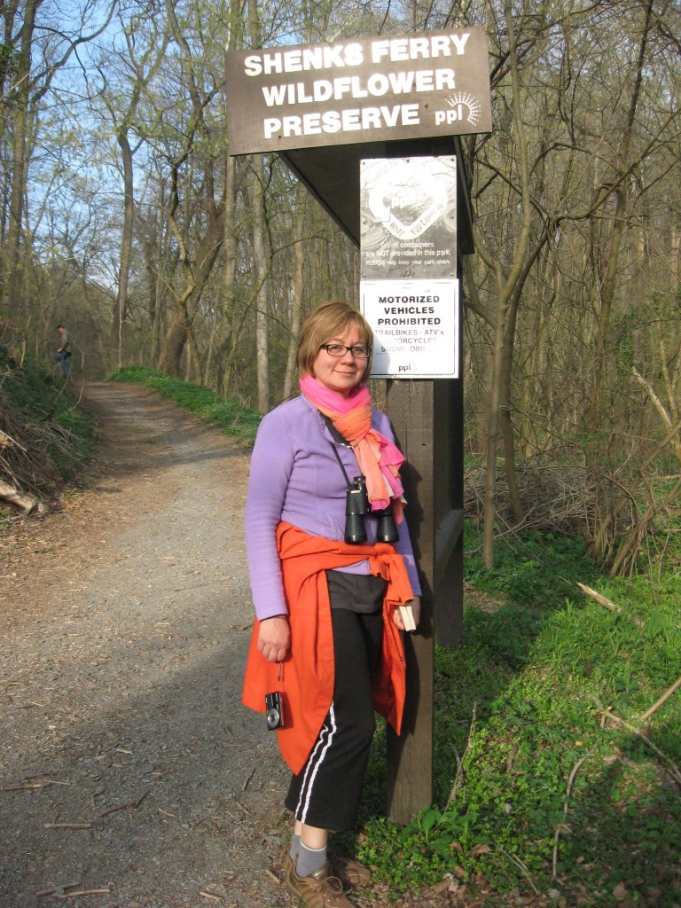 Shenks Ferry Wildflower Preserve, Sunday, April 14, 2013. www.thesanguineroot.com