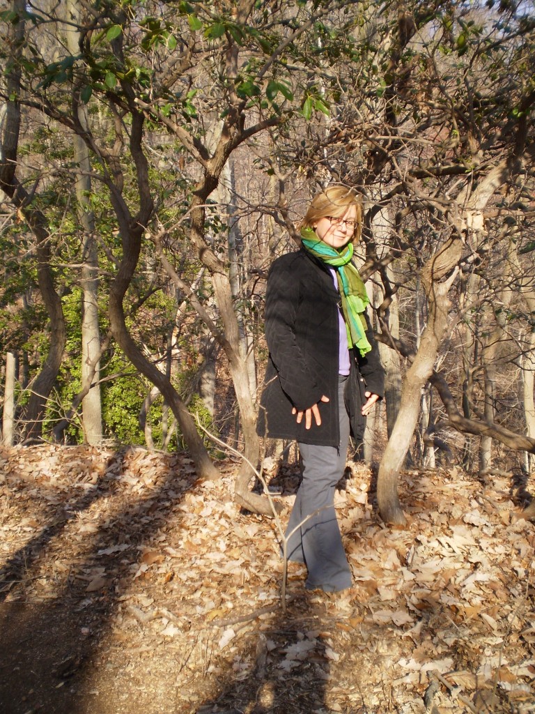 Isabelle Dijols, amidst Mountain Laurel, gazes at the red hue of blooming Red Maple off in the distance