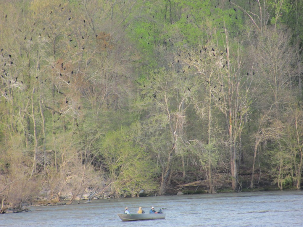 Susquehanna State Park, Maryland