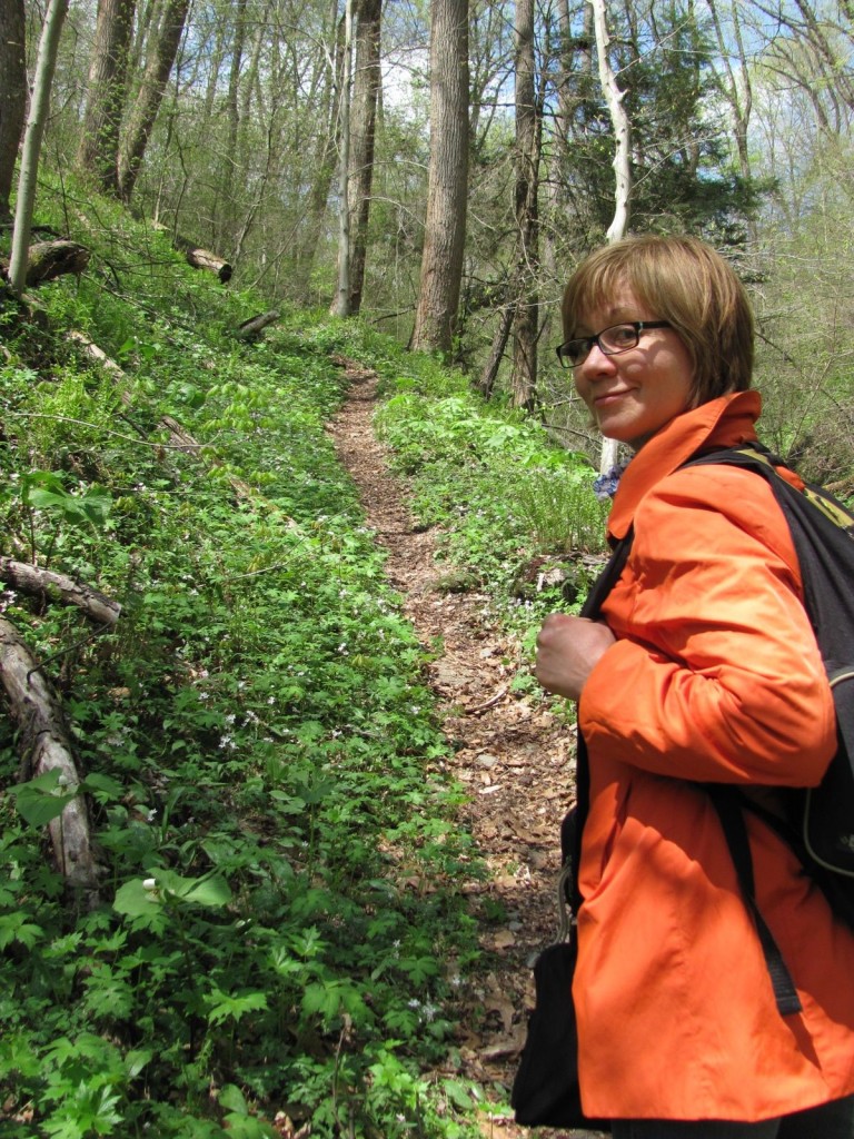  Ferncliff wildflower Preserve