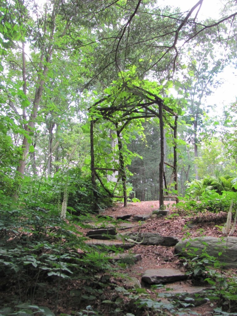 Garden in The Woods, New England Wildflower Society, Framingham Massachusetts. www.thesanguineroot.com