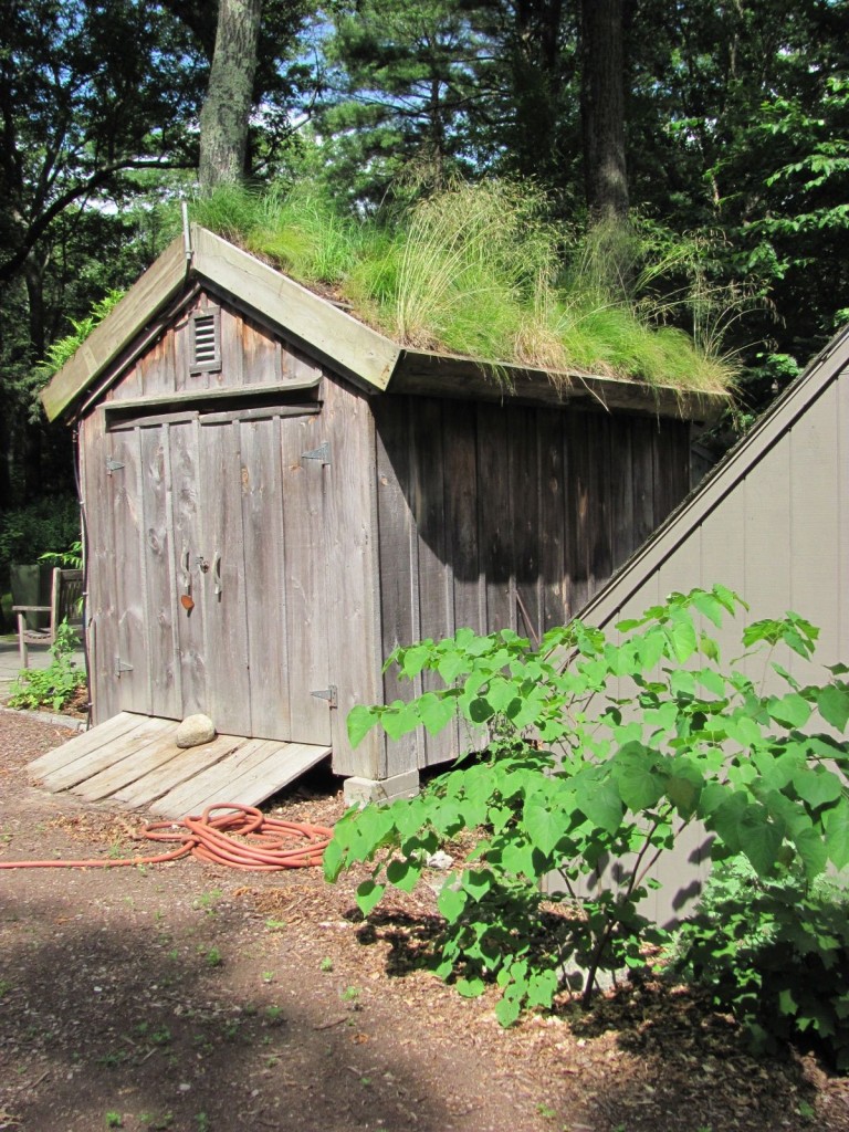 Garden in The Woods, New England Wildflower Society, Framingham Massachusetts. www.thesanguineroot.com