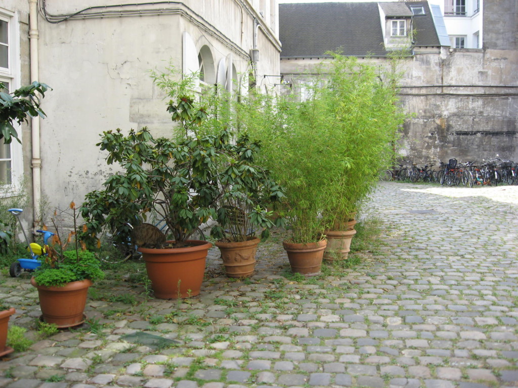 Paris Gardens,www.thesanguineroot.com