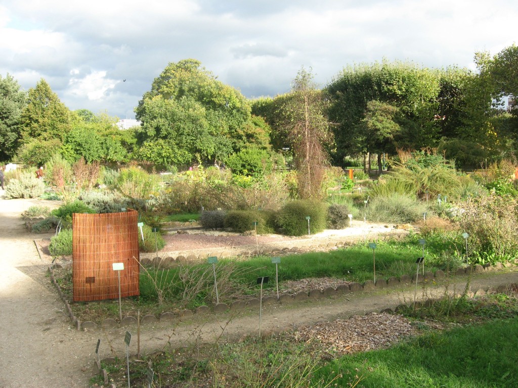 Paris Gardens,www.thesanguineroot.com, Jardin Des Plantes