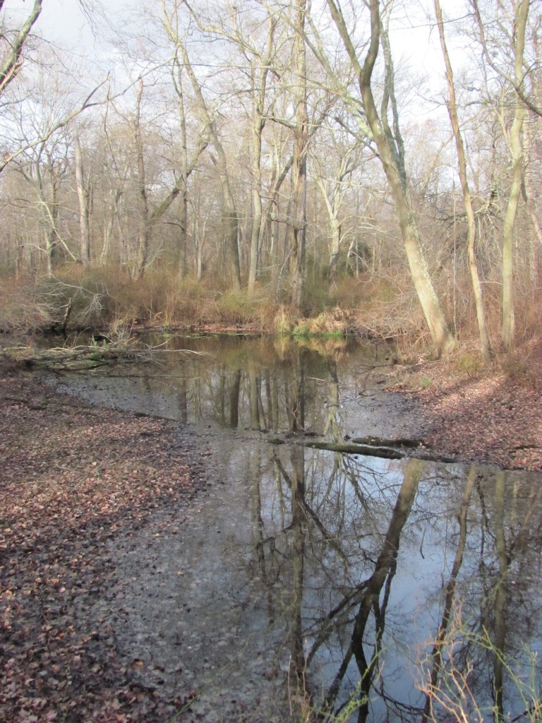 New Brooklyn County Park, Camden County, New Jersey