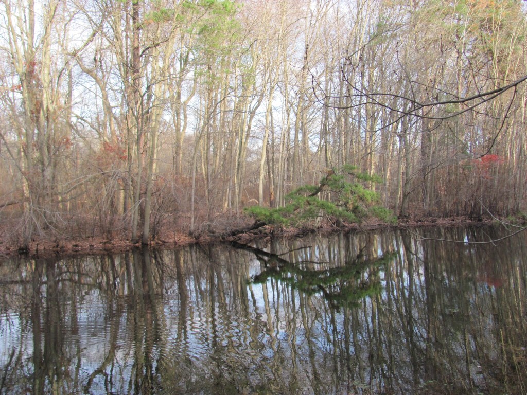 New Brooklyn County Park, Camden County, New Jersey