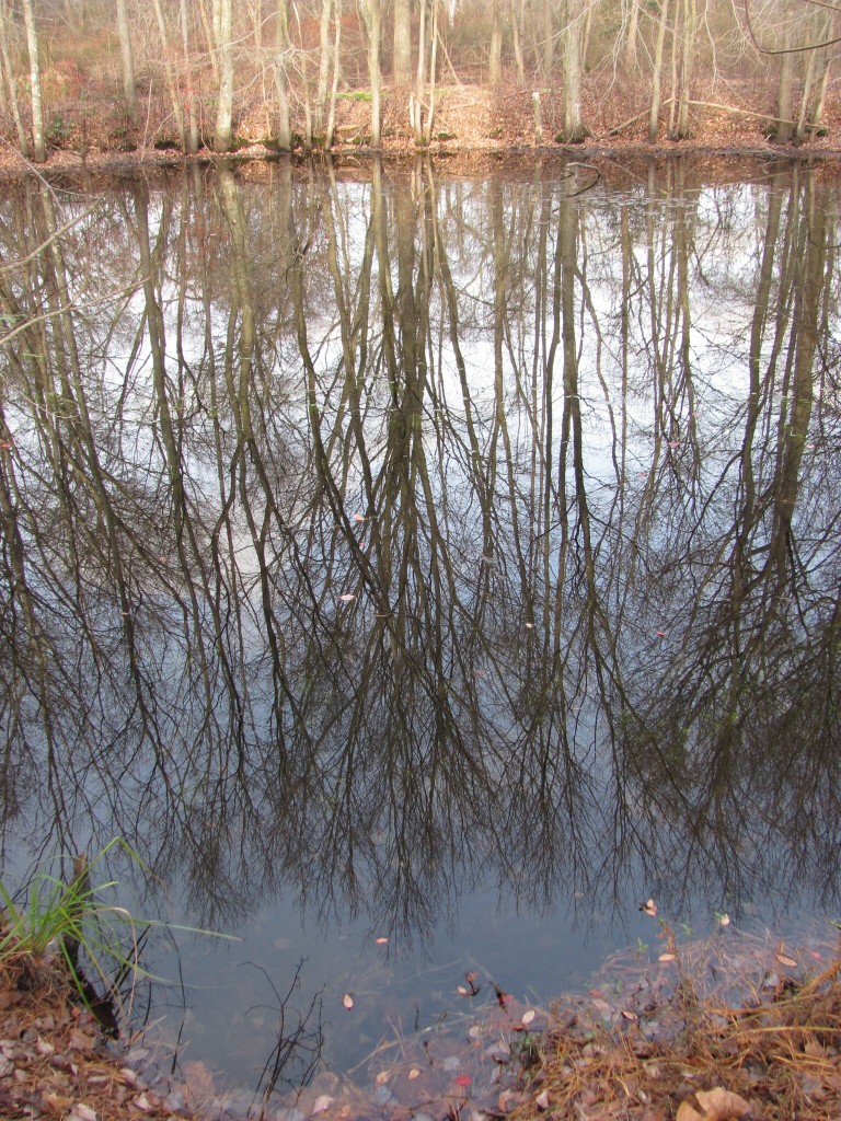 New Brooklyn County Park, Camden County, New Jersey