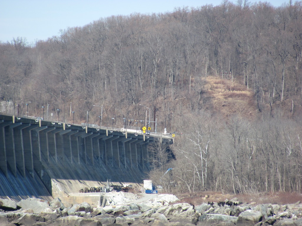 The bald Eagles at Conowingo Dam, Maryland. www.thesanguineroot.com