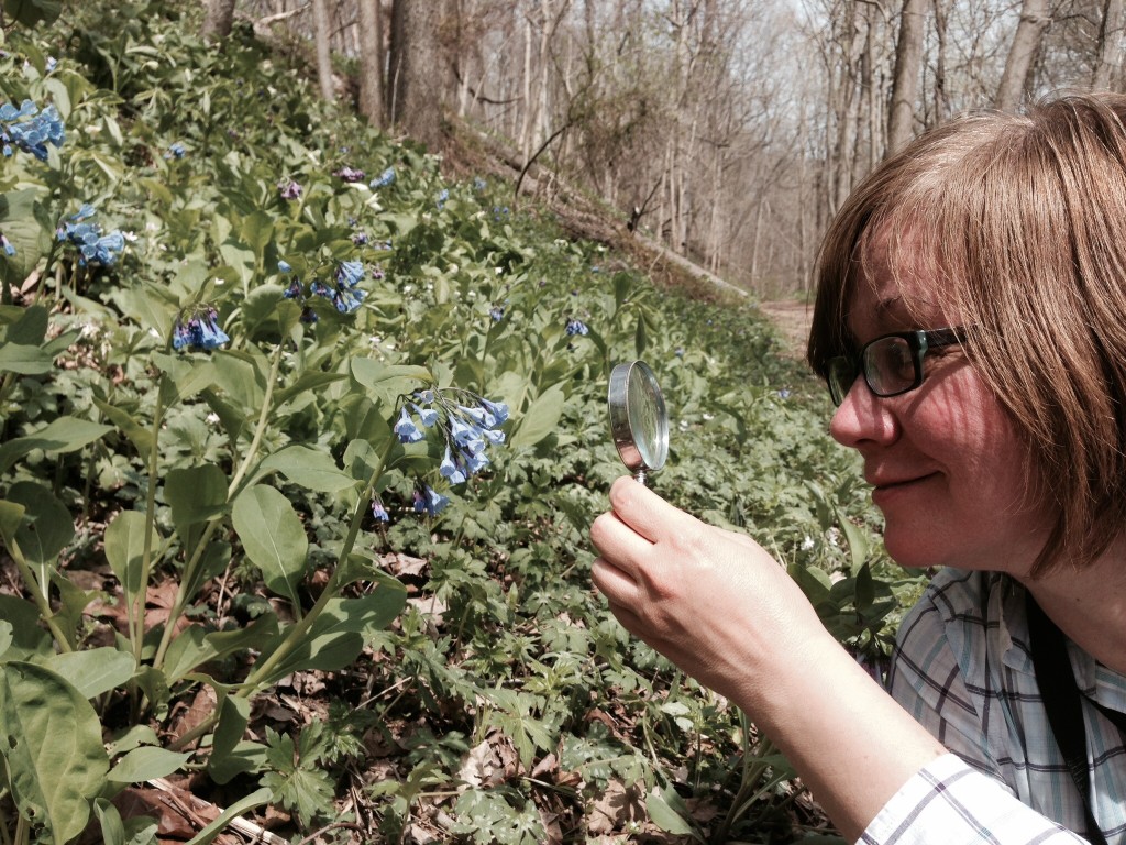 Shenks ferry wildflower preserve