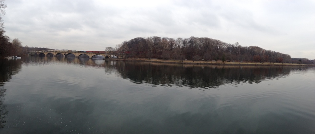 Trees along the schuylkill River www.thesanguineroot.com