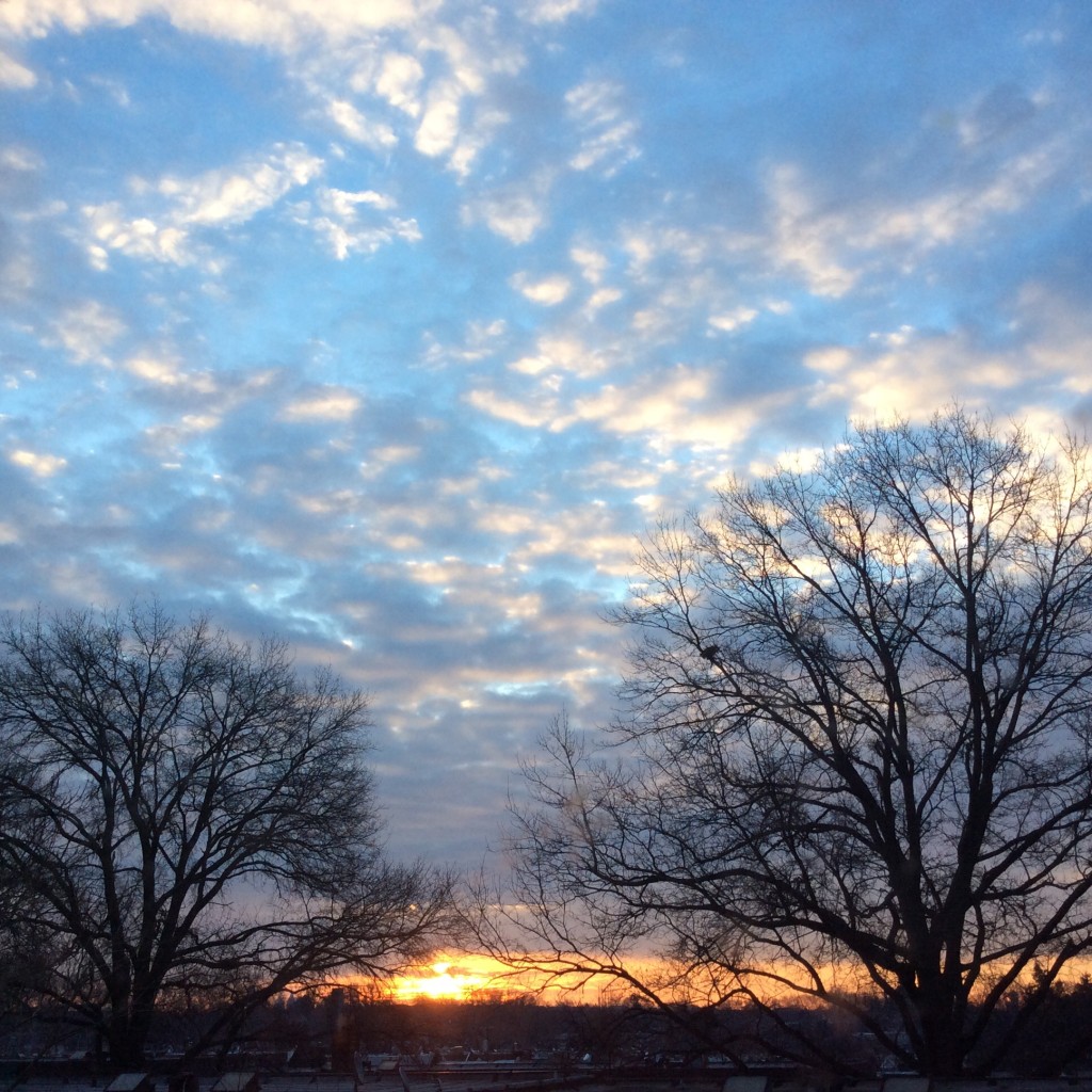 Sunrise in Overbrook 